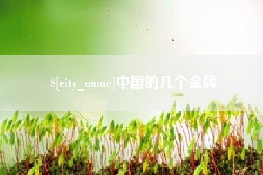 琼中中国的几个金牌