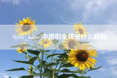 琼中中国的金牌是什么样的