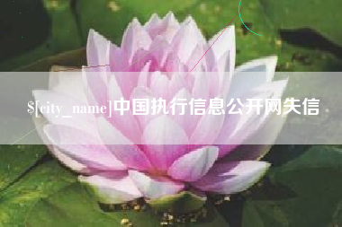 琼中中国执行信息公开网失信