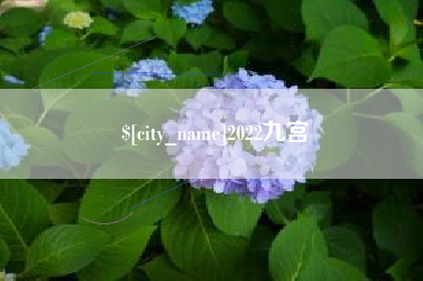 琼中2022九宫