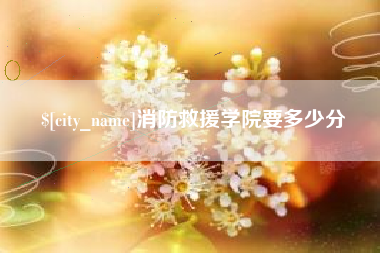 琼中消防救援学院要多少分