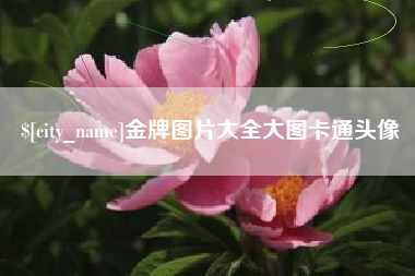 琼中金牌图片大全大图卡通头像
