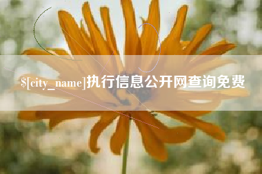 琼中执行信息公开网查询免费