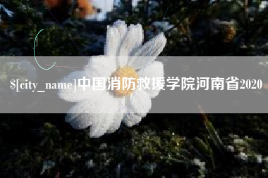 琼中中国消防救援学院河南省2020